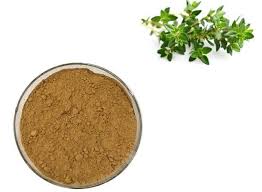 Wild Thyme Extract - manufacturer - undersun