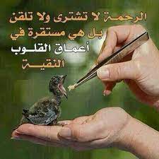 لا تكسر قلوب الآخرين فـ يجبر الله كسر قلوبهم و يكسر قلبك فـ القلوب ليست عظاما ت جبر بل أرواح ت قه ر arabic words it hurts screwdriver