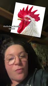 Rooster Combs for Babies