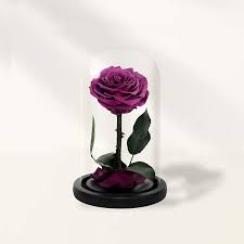 Maybe you would like to learn more about one of these? Mother S Day Gift Clear White French Beaded Long Stem Rose Purity Flower Unique Wedding Keepsake Celebration Of Life Glass Bead Flower Accessories Weddings Valresa Com