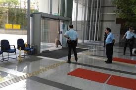 Current local time in hong kong. I Smell Bacon Wild Boar Wanders Into Police Station In Tsuen Wan Possibly To Squeal On Someone Coconuts Hong Kong