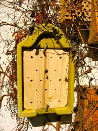 Schwegler Insektenhotel Zum Beobachten Vogel Und Naturschutzprodukte Einfach Online Kaufen Insektenhotel Insektenhaus Insekten