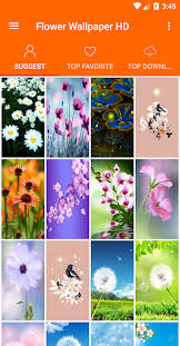 Free download high quality wallpapers gorgeous images. Download Flowers Wallpaper 4k Free For Android Flowers Wallpaper 4k Apk Download Steprimo Com