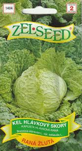 Image result for hlávková kapusta