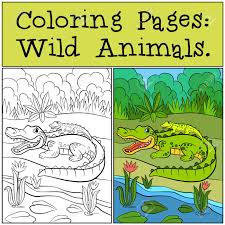 Cute animal alphabet coloring page. Coloring Pages Wild Animals Mother Alligator With Her Little Cute Baby Alligator In The Back Royalty Free Cliparts Vectors And Stock Illustration Image 57627919