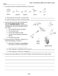 Activities and worksheets for food chains and webs. Food Webs And Food Chains Food Webs And Food Chains