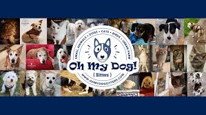 Because of this, pet sitters can readily identify opportunities for improvement and spot emerging behavior concerns, enrichment opportunities, and other areas that. Oh My Dog Sitters Llc Pet Sitter Dog Walker Pet Taxi Serving Lacey Olympia Tumwater Wa