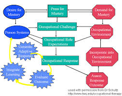 Frame Of Reference Occupational Adaptation Occupational