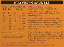 Zignature Kangaroo Limited Ingredient Formula Grain Free Dry Dog Food 13 5 Lb Bag