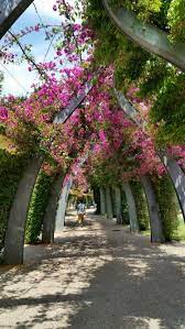 Southbank Flower Arch Walk