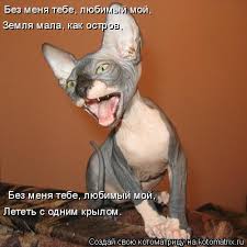 без меня тебе любимый мой земля мала как остров Kotomatrica Bez Menya Tebe Lyubimyj Moj Zemlya Mala Kak Ostrov Bez Menya Tebe Lyubimyj Moj