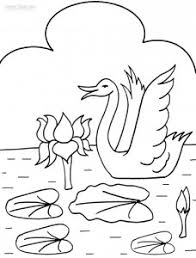 Water lily coloring page to print. Printable Lily Pad Coloring Pages For Kids