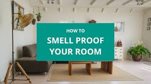 Fast shipping · a+ rated by bbb · proudly made in usa How To Smell Proof Your Room The Ultimate Guide