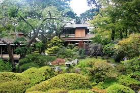 Hôtels près de japanese tea garden. San Francisco Japanese Tea Garden Japanese Gardening
