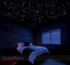 Garage Game Rooms Star Ceiling Sky Ceiling Dark Ceiling