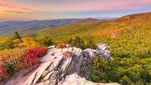 The archives contain state government agency, licensing board, and commission web sites and social media pages, and includes images and audio and video files; Fall Foliage 2020 Here S What To Expect In North Carolina College Of Natural Resources News