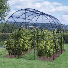 Bird Netting Structures For Fruit Trees Roman Fruit Cage From Agriframes Making A Statement Within Your Garden As Well As Offering Ideal Protection For Fruit Cage Garden Structures Dwarf Fruit Trees