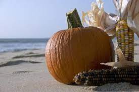 Check spelling or type a new query. Celebrate Thanksgiving In Hawaii Twice