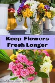 Maybe you would like to learn more about one of these? Pin On Mother S Day