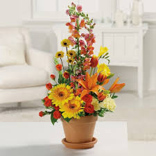 Mother's day flowers delivery plymouth. Sparr S Florist Your Plymouth Mi Florist Sparr S Plymouth Mi Florist