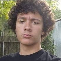 Andrew Harvey Wayne Neal Jr. Obituary