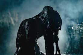 Bildergebnis für Joshua Serafin