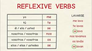 Image result for Vepris reflexa