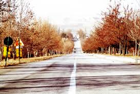 Pentru varianta in word al legii 31/1990 (actualizata la luna octombrie 2010). Legea 31 1990 Contabilitate Fiscalitate Monografii Contabile