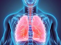 Anatomía y fisiología del aparato respiratorio - Enfermedades