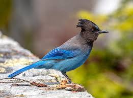 The more questions you get correct here, the more random knowledge you have is your brain big enough to g. National Parks Quiz And Trivia 39 The Instagram Edition