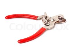 Chossing the best hair cutting clippers and trimmers can be a challenge. A Clipper Tool Used For Trimming Pets Stock Image Colourbox