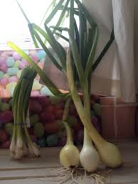 And it turns out there is! How To Store Leeks From Garden Arxiusarquitectura