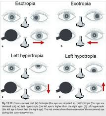 Image result for Cover Test