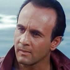 Chips, the War Dog (1990)