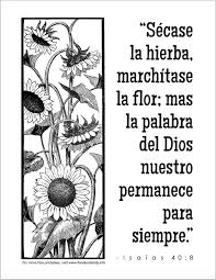 Spanish coloring pages best coloring pages in spanish numbers new. Word Of God Coloring Page Flanders Family Homelife