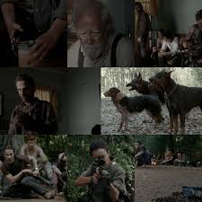 Going from refusing to eat dog food to eating dogs : r/thewalkingdead