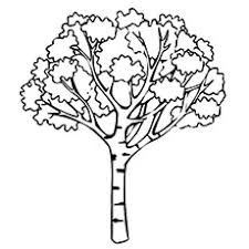 Check out the section below for tree craft ideas. Top 25 Tree Coloring Pages For Your Little Ones