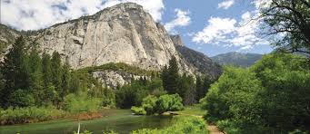 The john muir lodge and grant grove cabins are located inside kings canyon national park, and within walking distance of renowned grant grove, home to the general grant tree. Sequoia And Kings Canyon National Parks Delaware North