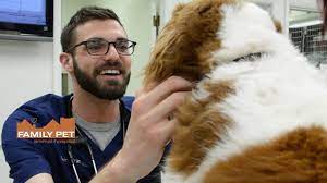 We understand that your family…. Family Pet Animal Hospital Chicago Il