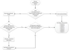 iso 20916 2019 en in vitro diagnostic medical devices