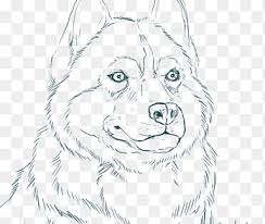 Most people seem to think that. Siberian Husky Alaskan Husky Puppy Coloring Book Husky Siberian Child Face Png Pngegg
