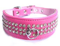 Resultado perros Accesorios para párr de imagen
