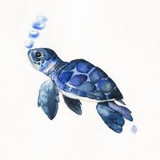 In short, the python turtle library helps new programmers get a feel for what programming with python is like in a. How To Draw Baby Sea Turtles Learn How To Draw