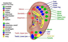 Foot Reflexology Chart For Essential Oils Reflexology Foot