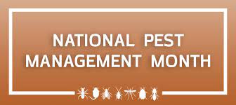 Our mission is to offer our clients with prompt, safe, affordable & effective pest control solutions. Express Pest Control Cleveland Ohio Home Facebook