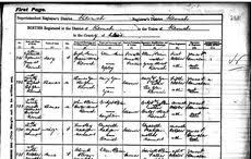 You cant view any kind of life event certificate on the internet in the uk, and i don't think we ever will be able to. Irish Birth Marriage And Death Records Free Online