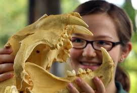 Why doesn't Boston have a better zoo?