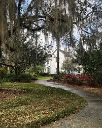 Image result for Gardenia imperialis