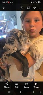 Yesterday, Beaker peed