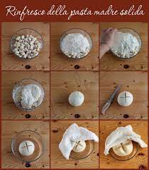 We did not find results for: Lievito Madre Uso Gestione E Conservazione Fables De Sucre